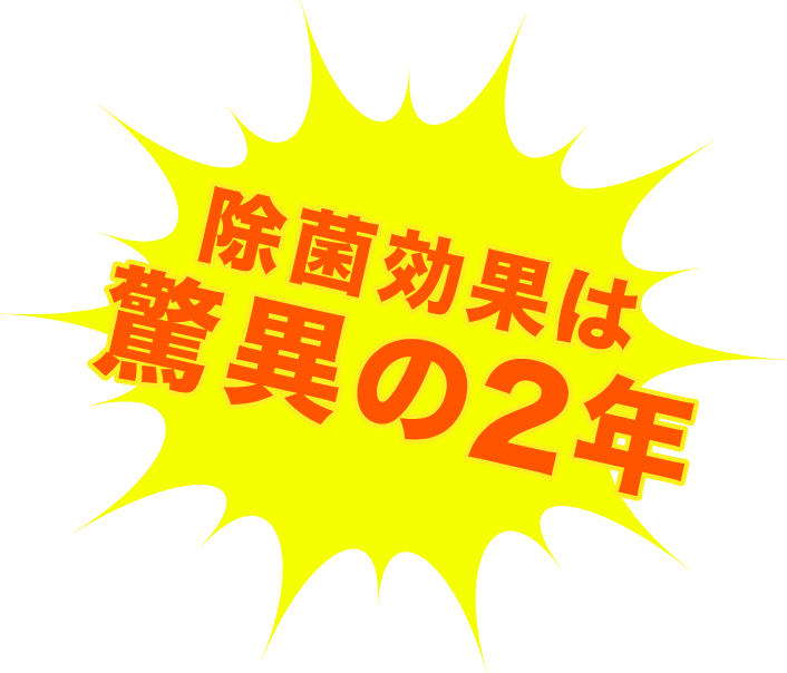 森林エキス&抗触媒定期施工が効く！